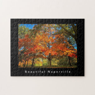 Puzzle Belle Naperville - Feuilles d'automne