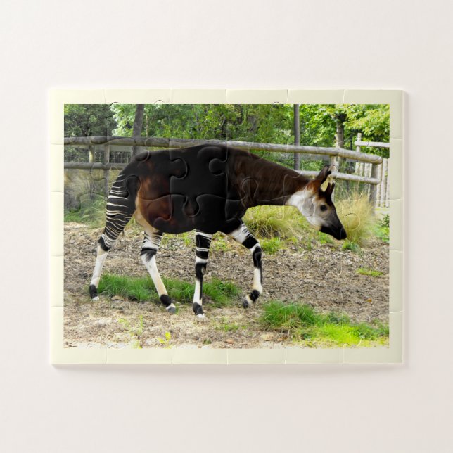 Puzzle Belle Okapi (Horizontal)