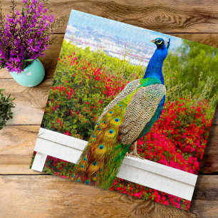 Puzzle Belle Peacock Vert Bleu Photo Stylish Chic