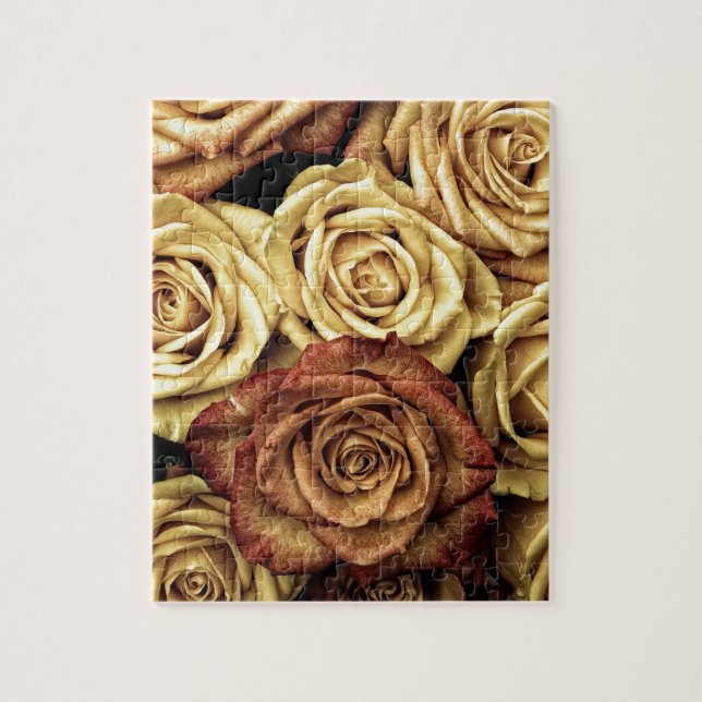 Puzzle Belle photo de roses de Sienne (Vertical)