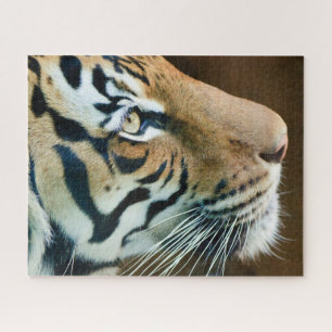 Puzzle Belle photo du visage de tigre