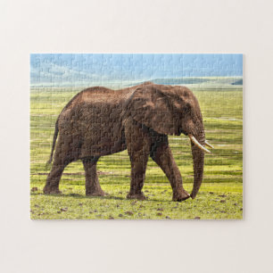 Puzzle Belle photo grand éléphant