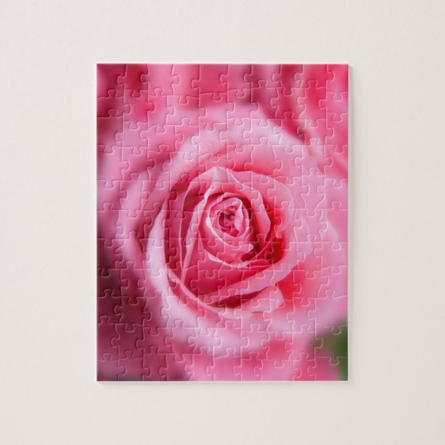 Puzzle Belle rose rose rose (Vertical)