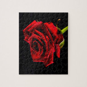 Puzzle Belle rose rouge