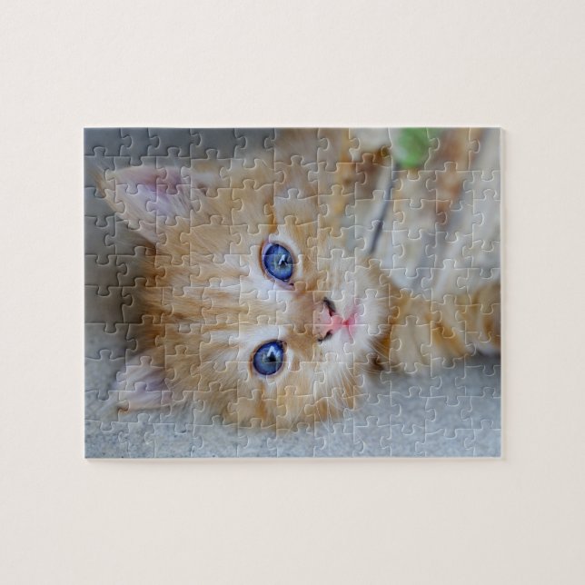 Puzzle Belle Tabby Kitten Orange (Horizontal)