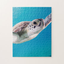 Belle tortue de mer Nager dans l'océan