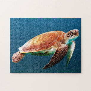 Puzzle Belle tortue verte