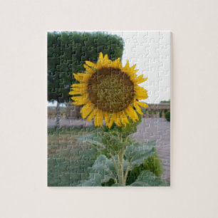 Puzzle Belle Tournesol Superbe