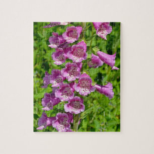 Puzzle Belles fleurs de renard rose