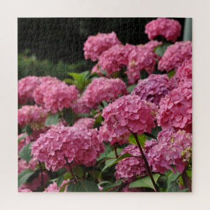 Puzzle Belles fleurs d'hortensia rose