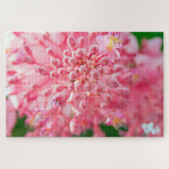 Puzzle Belles fleurs roses (Horizontal)