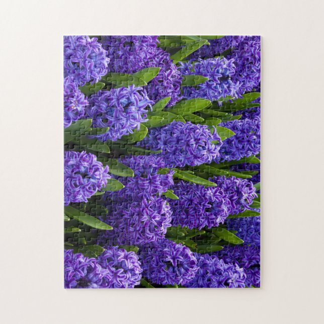Puzzle Belles Hyacinthes Bleues/Violettes (Vertical)