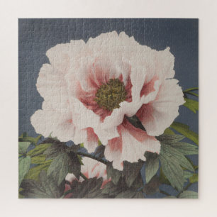 Puzzle Belles impressions photomécaniques des fleurs de p