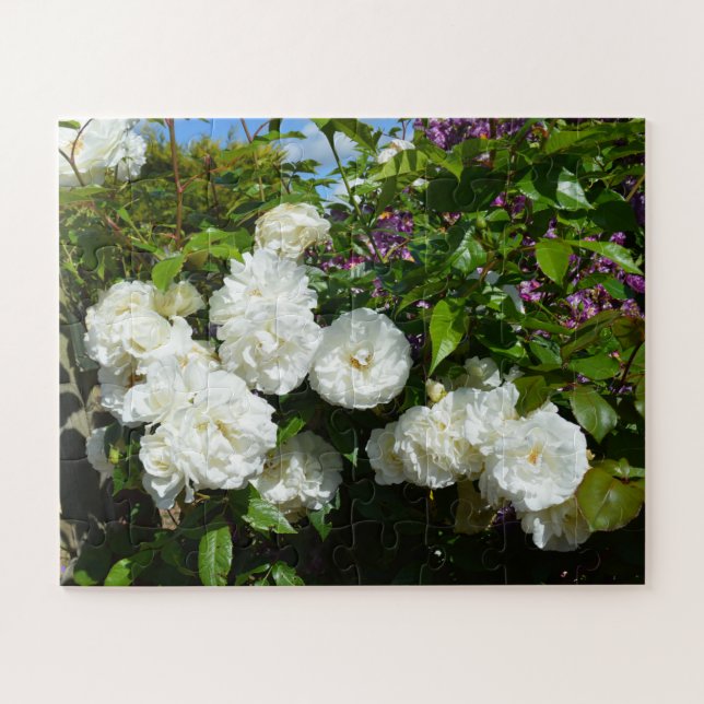 Puzzle Belles roses blanches (Horizontal)