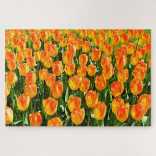 Puzzle Belles tulipes