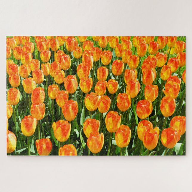 Puzzle Belles tulipes (Horizontal)