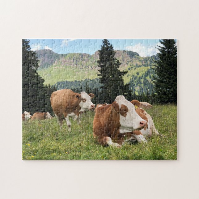 Puzzle Belles vaches au pâturage Photo nature (Horizontal)