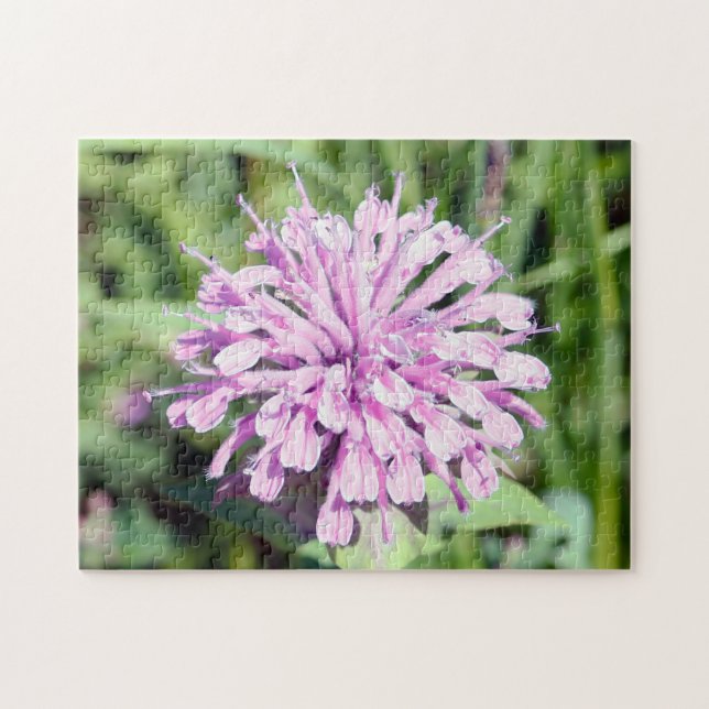 Puzzle Beramot sauvage - (Baume d'abeille rose) (Horizontal)