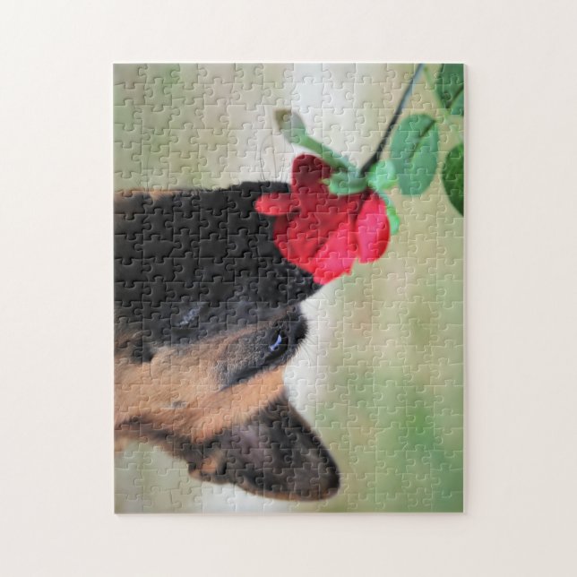 Puzzle Berger allemand avec Rose rouge (Vertical)