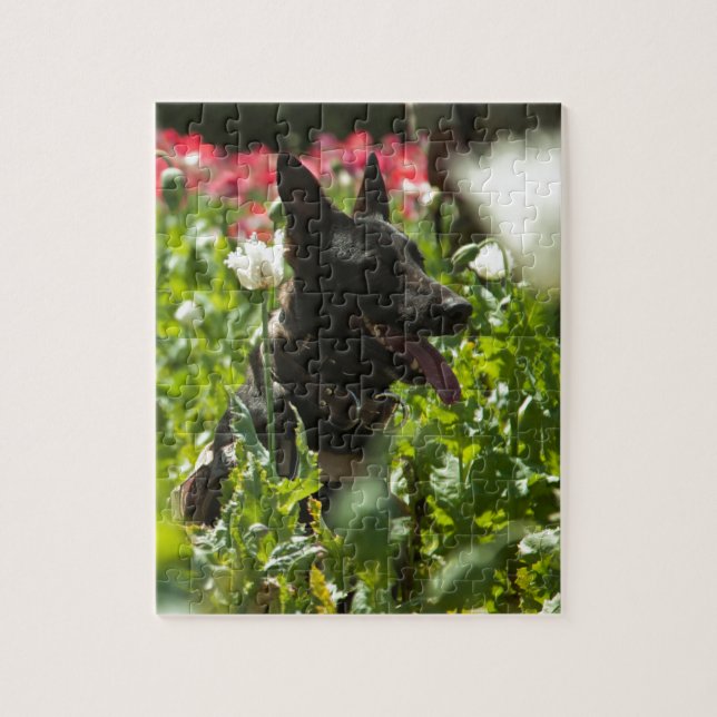 Puzzle Berger allemand dans un domaine (Vertical)