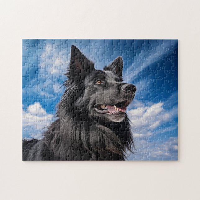 Puzzle Berger belge Groenendael (Horizontal)