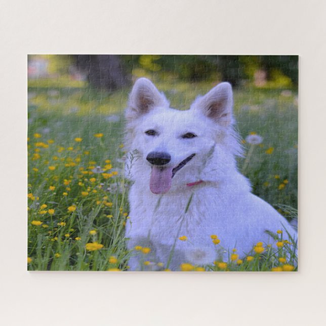 Puzzle Berger Blanc Suisse Jigsaws. (Horizontal)