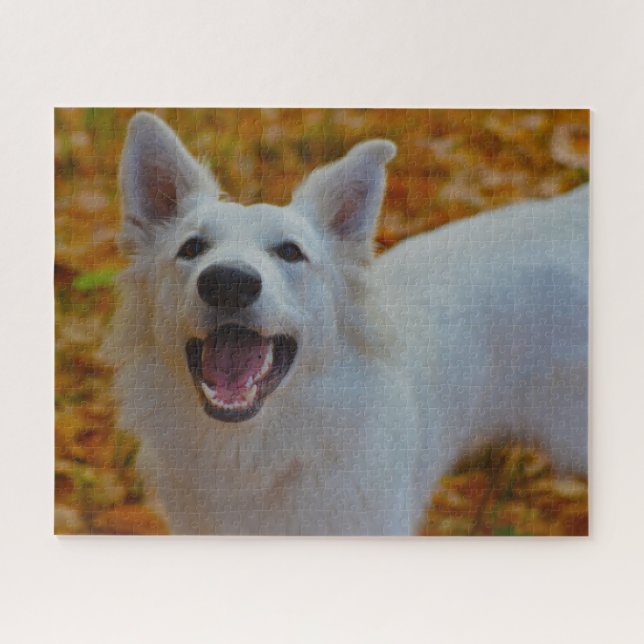 Puzzle Berger Blanc Suisse Jigsaws. (Horizontal)