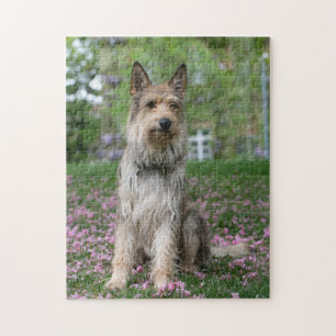 Puzzle Berger Picard