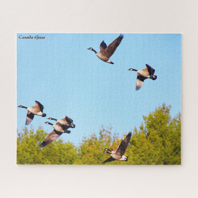 Puzzle Bernache du Canada (Horizontal)