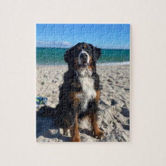 Puzzle Bernese Mountain Dog