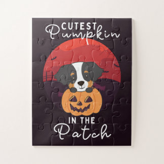 Puzzle Bernese Mountain Dog Citrouille Cutest Dans Le Pat