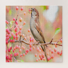 Puzzle Berries de printemps pour manger des oiseaux