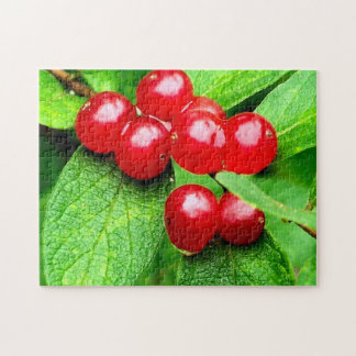 Puzzle Berries Rouges Avec Raindrop Nature