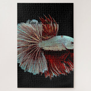 Puzzle Bêta bleu et rose Splendens, SiameseFightingFish
