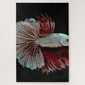 Puzzle Bêta bleu et rose Splendens, SiameseFightingFish