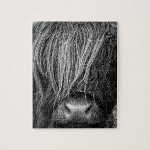 Puzzle Bétail des montagnes écossais - Ecosse