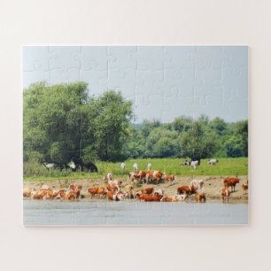 Puzzle Bétail et la rivière Danube