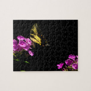 Puzzle Beurre de queue de tigre sur Phlox sauvage - Puzzl