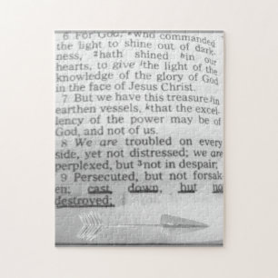 Puzzle Bible Scripture Cast Down but not Destroyed Page