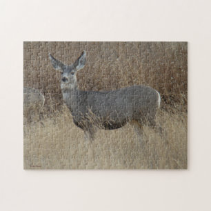 Puzzle Biche de mulet D14