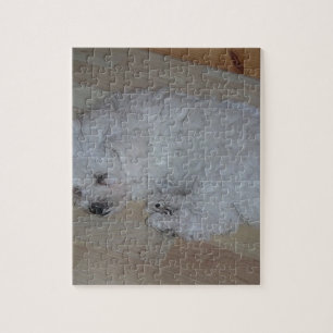 Puzzle Bichon_Frise_puppy_sleeping