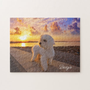 Puzzle Bichon sur la plage Animaux de compagnie Photo Nom