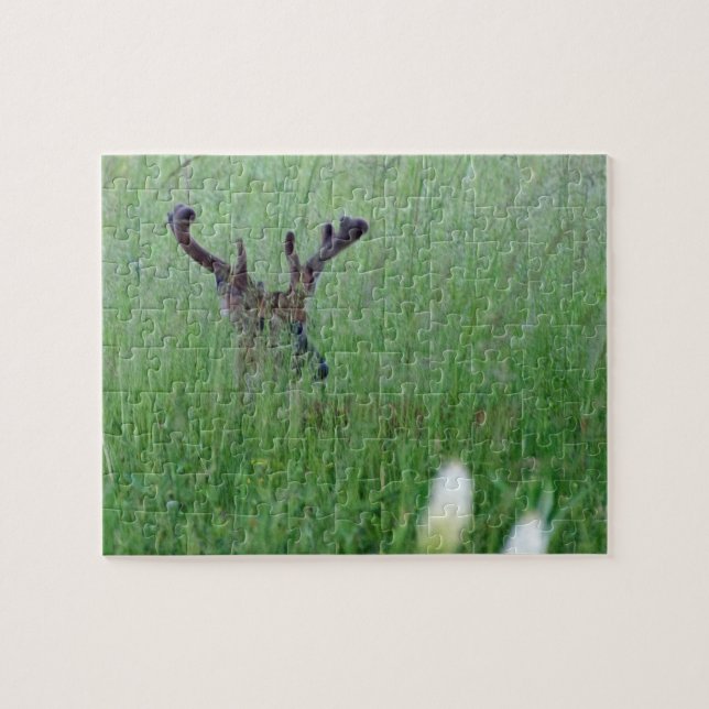 Puzzle Big Buck In Tall Grass (Horizontal)