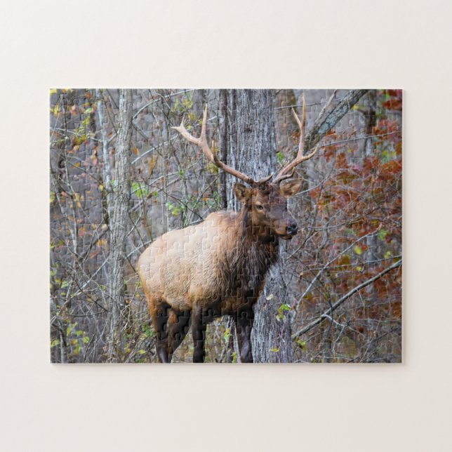 Puzzle Big Game Hunter - Bull Elk - 11x14 pouces (Horizontal)