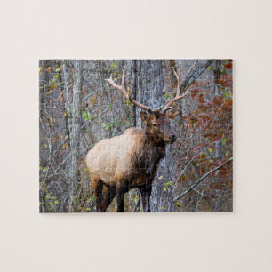 Puzzle Big Game Hunter - Saison Elk - 8x10 pouces