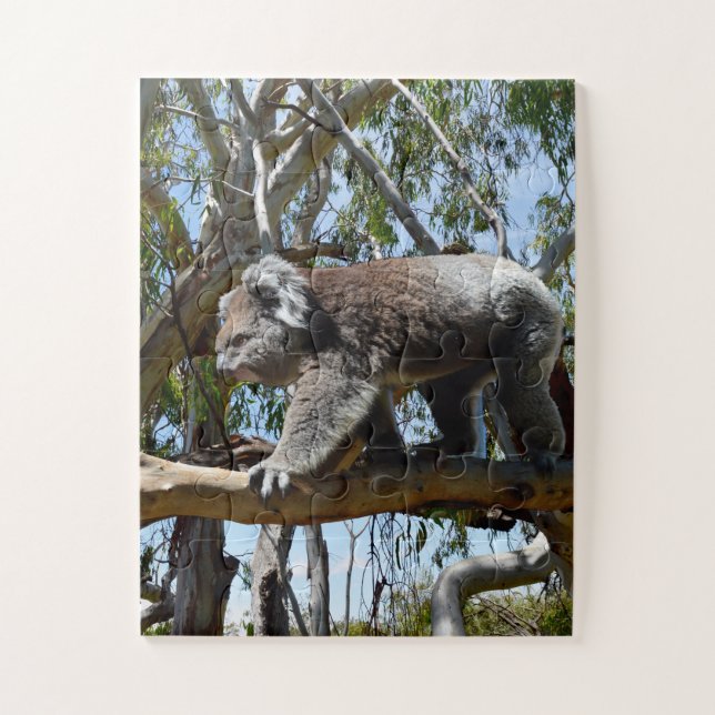 Puzzle Big Homme Australian Koala, (Vertical)