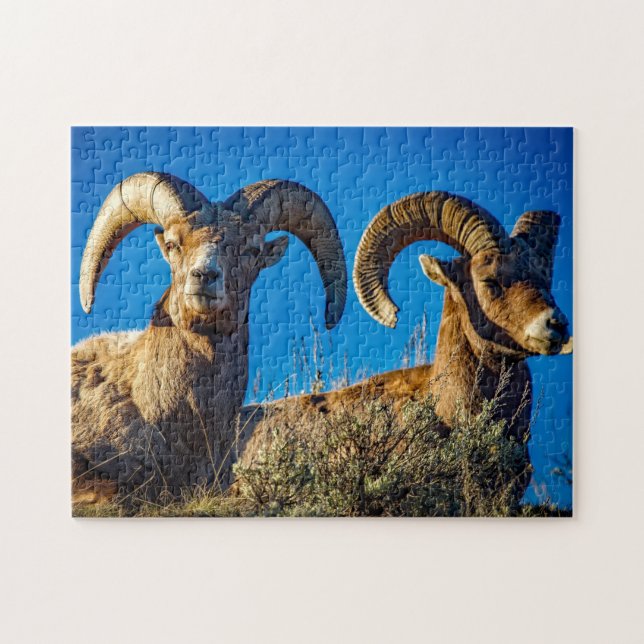 Puzzle Big Horn Game (Horizontal)