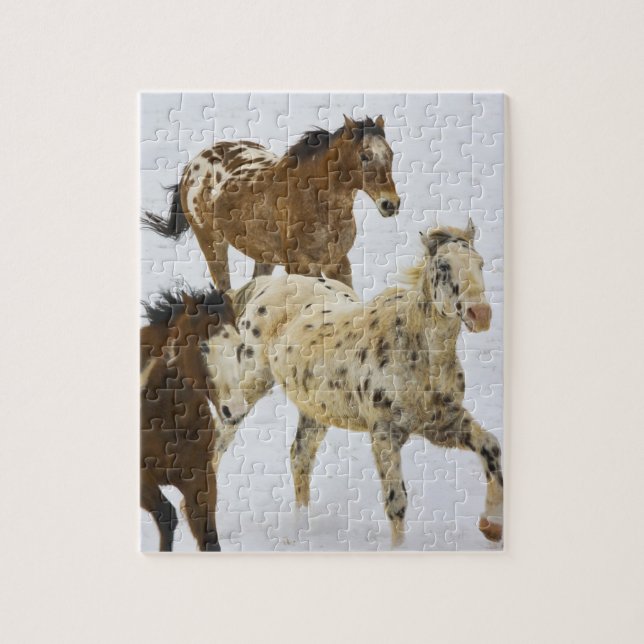 Puzzle Big Horn Mountains, Chevaux courant dans la neige (Vertical)