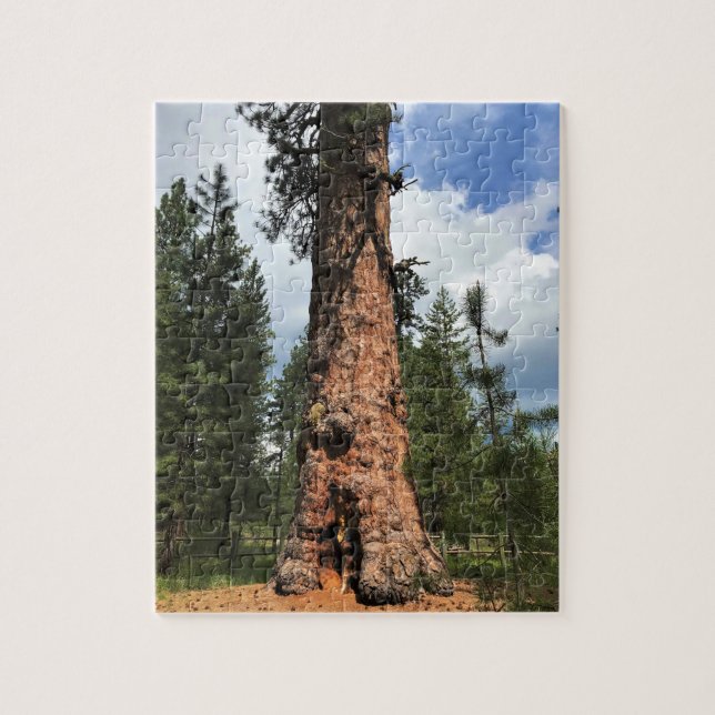 Puzzle Big Red Tree, La Pine OU (Vertical)
