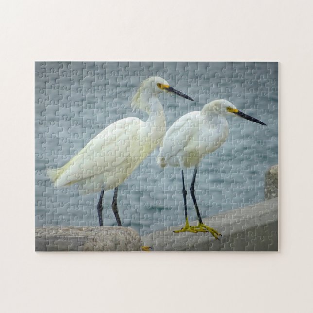 Puzzle Bijoux Herons Floride (Horizontal)